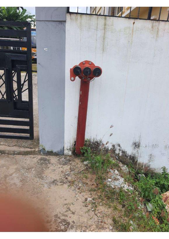 Internal Hydrant Valve (Single)